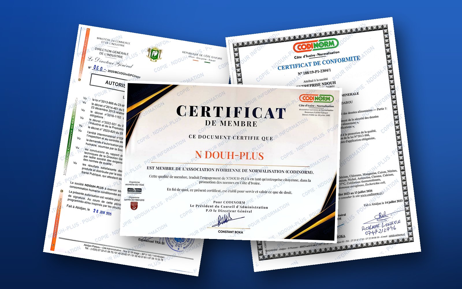 Certificat de conformité CODINORM, autorisation d'exercice et certificat de membre CODINORM